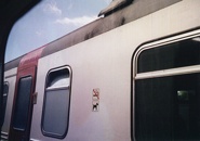  Column Image Dog L-1